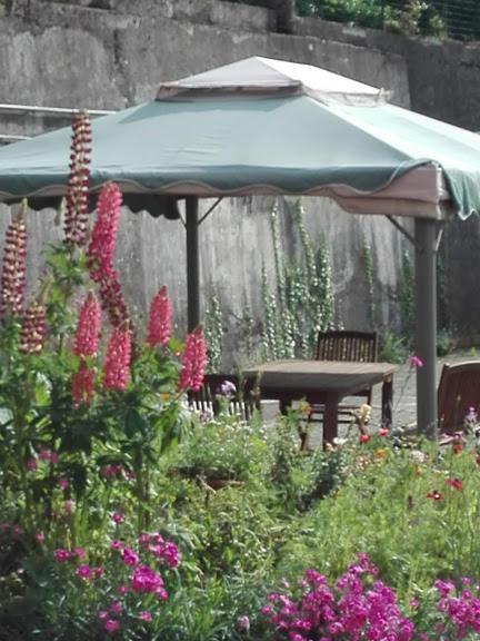La Torretta Bed & Breakfast Torriglia Kültér fotó
