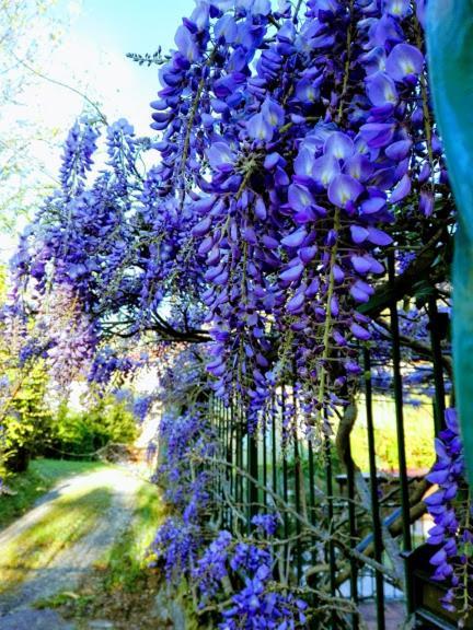La Torretta Bed & Breakfast Torriglia Kültér fotó